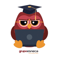 Owl Estudiar GIF by Grupo Esneca Formación