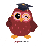 Owl Ok GIF by Grupo Esneca Formación