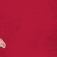 redbull cool omg shocked shock GIF