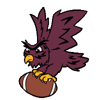 Football Art Sticker by Winnie Gu 顾韵昀