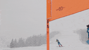 Team Usa Sport GIF by U.S. Ski & Snowboard Team
