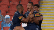 Gold Coast Titans GIF