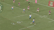 Gold Coast Titans Nrl GIF