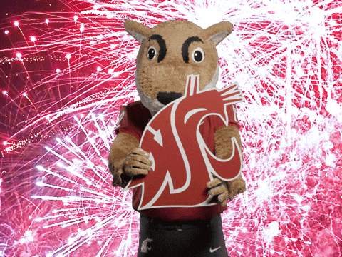 Washington State Go Cougs GIF by WSU Pullman