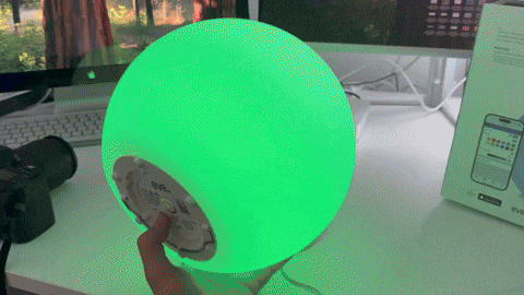 michagruszka giphyupload GIF