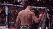 Mixed Martial Arts Sport GIF by UFC