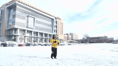 snow pounce GIF by UW-Milwaukee