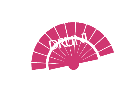 Fun Party Sticker by DRUNI