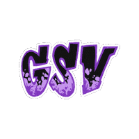 Wnba Sticker