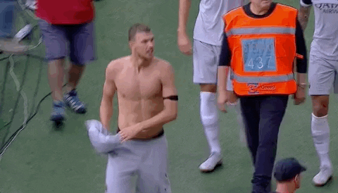 celebrating serie a GIF by AS Roma