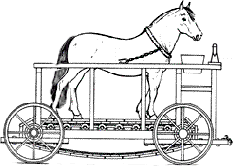 Car Horse GIF