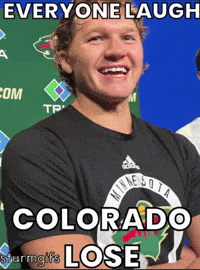 Minnesota Wild Hockey GIF
