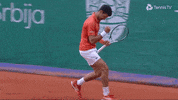 Novak Djokovic Sport GIF by Tennis TV