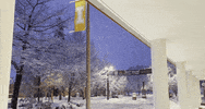 Silent Night Vandals GIF by University of Idaho