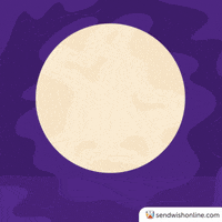 Dark Night Distraction GIF by sendwishonline.com