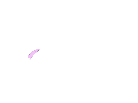 tarynanimates giphyupload ok okay Sticker