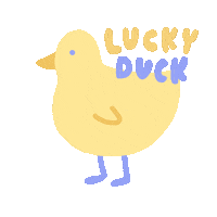 Duck Luck Sticker