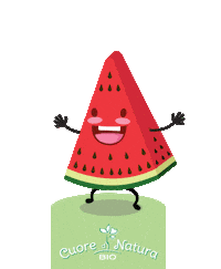 cuoredinatura anguria cuore di natura bio piccoli intenditori omogeneizzati Sticker