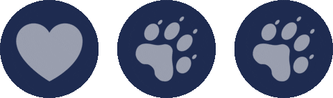 VirtusPet giphyupload virtus da necessità a virtus virtus pet Sticker