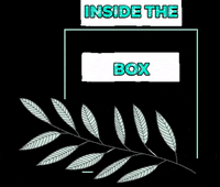 Randomdish box insidethebox insidetheboxlb GIF