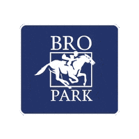 Horses Jockey Sticker by Svensk Galopp