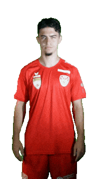KSV1919 kapfenberg ksv1919 haxha florian haxha Sticker