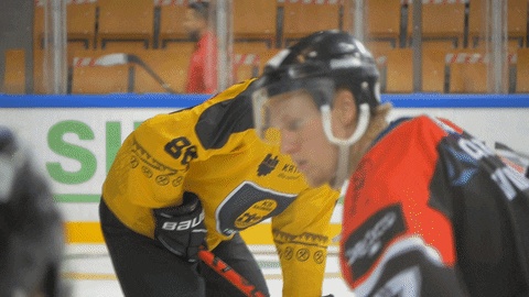 Ice Hockey Fight GIF by GKS Katowice