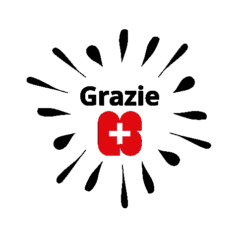 Gs Js Sticker by Jubla Schweiz