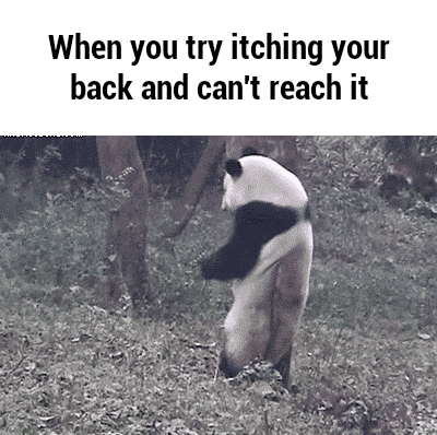 cant follow back GIF