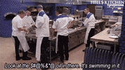 hell's kitchen GIF by Fox TV