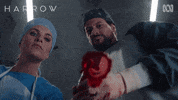 Abc Tv Blood GIF by ABC TV + IVIEW