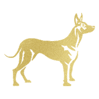 Inmobiliaria Sticker by XOLO Real Estate