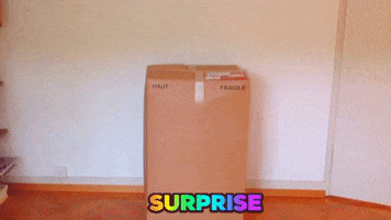 Fun Unwrapping GIF by Sibylle Berg