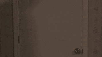 Wizard Of Oz Fun GIF by Rochester Institute of Technology