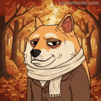 Shiba Inu Fall GIF by Doge Pound