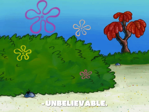 season 7 episode 3 GIF by SpongeBob SquarePants