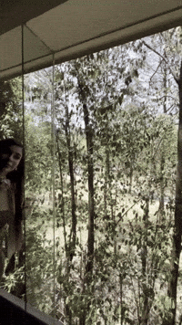 Rosarito GIF