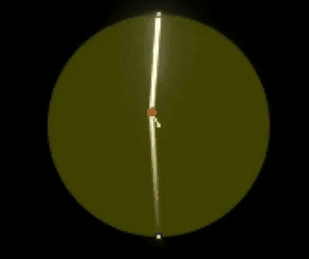 turna755 giphyupload GIF