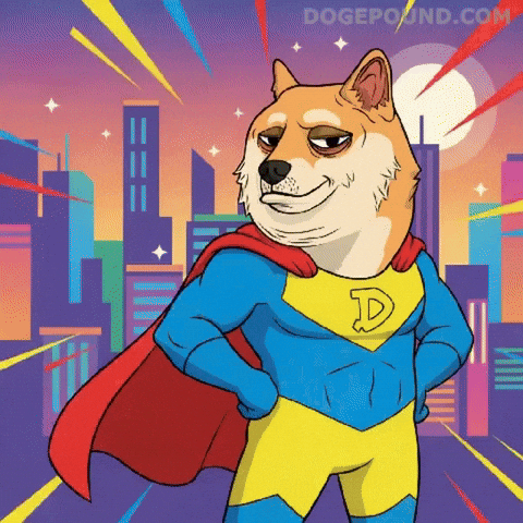 Shiba Inu Wow GIF by Doge Pound