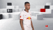 Posing Line Up GIF by Bundesliga