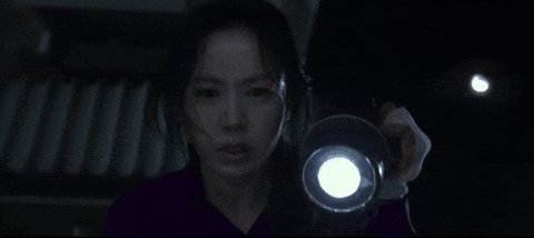 Park Chan-Wook Son Yejin GIF by NEON