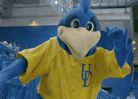 lets go basketball GIF by Delaware Blue Hens