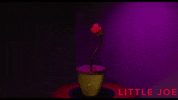 Unsettling Ben Whishaw GIF by Magnolia Pictures
