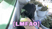 Lmao Laughing GIF