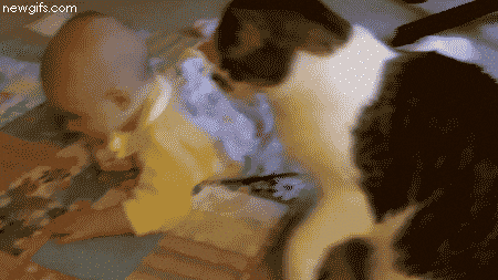 Video gif. Cat taps a baby lying on the floor, then curls up next to it.