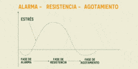 Resistencia Commons GIF by Commons. adaptógenos