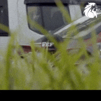 Emil Kyrgyz GIF by Customize iT