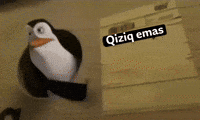 URGIFCRETOR new penguin uzbekistan uzb GIF