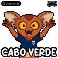 Happy World Cup Sticker by VeeFriends