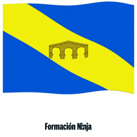 Flag Spain GIF by Formación Ninja